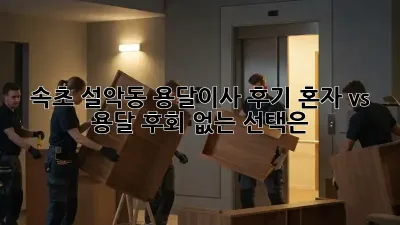 속초 설악동 용달이사 후기: 혼자 vs 용달, 후회 없는 선택은?